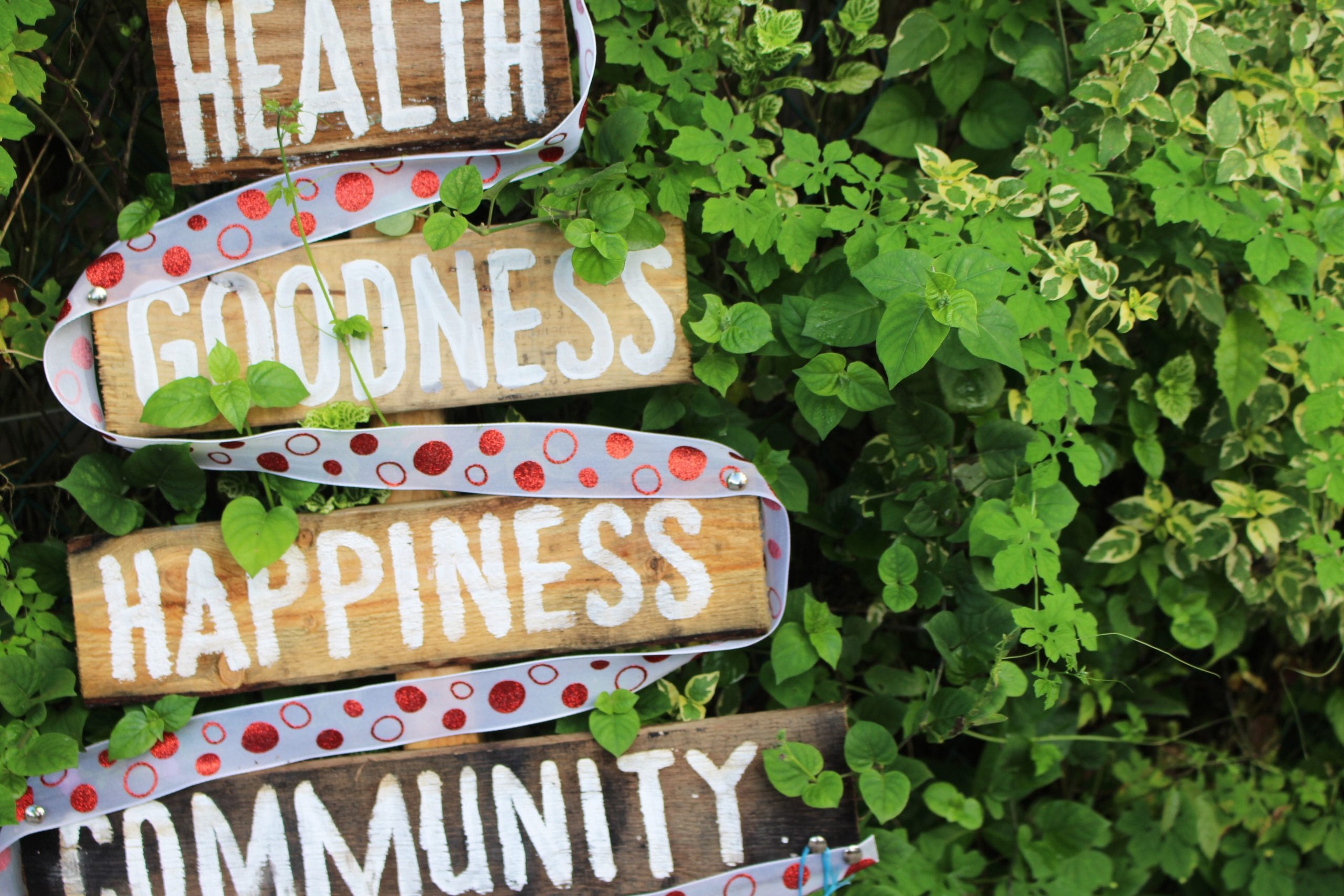 health-goodness-happiness-community-6CZ8MCU